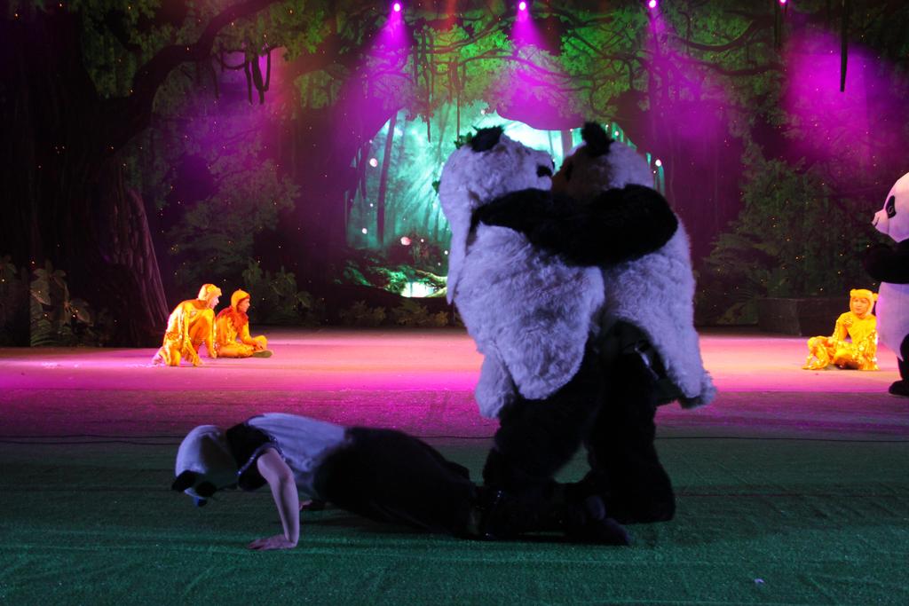Acrobatics "Panda Play" The giant panda is deeply loved by the global people through their cute appearance, and