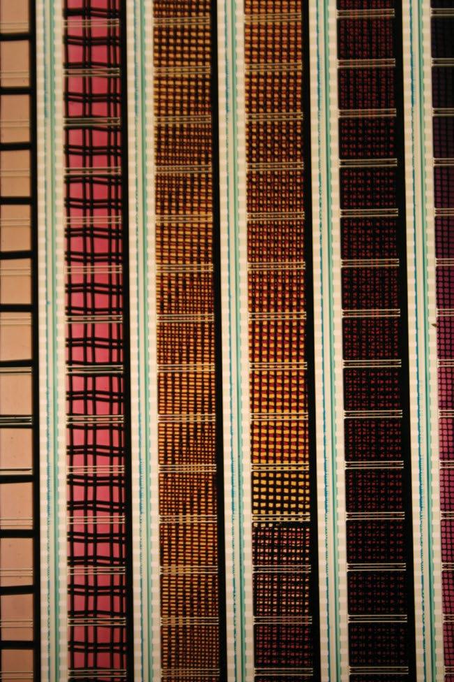 16 mm film strips from Color Cry 1953 or is it below my ears at the back of my neck?