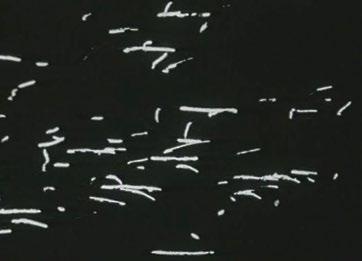 Particles in Space is a scratch film that Lye laboured over for