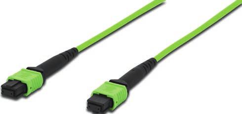 MECHANICAL FEATURES PLUG: MPO / MTP /APC/SM CABLE: Trunk cable/12c SM/OM4/Fiber 9/125 OPTICAL FEATURES PLUG: CABLE: OPTICAL