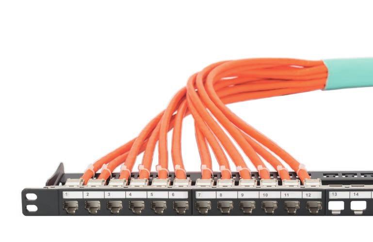 COPPER CABLE 6/12 IN A SINGLE STROKE - TRUNK CABLES SAVE INSTALLATION TIME YOU ARE FREE TO CHOOSE THE FOLLOWING PARAMETERS: The length of the trunk The connector length The desired Keystone module -