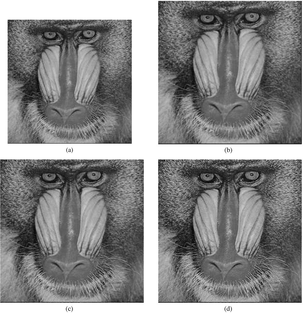 990 IEEE TRANSACTIONS ON SIGNAL PROCESSING, VOL. 57, NO. 3, MARCH 2009 2 Fig. 12. (a) Original Mandrill image of size 256 256. (b) Enlargement by a factor of =e with bicubic interpolation.