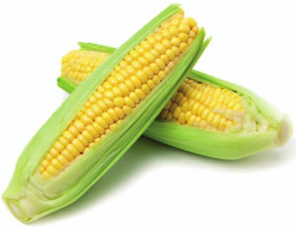 Boy Scout Corn Fundraiser Help support the Marseilles Boy Scout Troop 0799 by pre-ordering fresh corn.