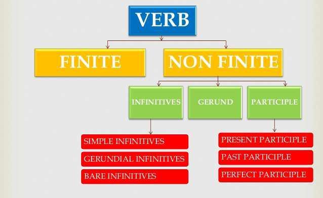 SSC Programme Lesson 1 : Gerund Definition Gerund is a non-finite verb. It looks like a verb but acts like a noun. When verb+ing works as a noun and verb, it is called Gerund. Functions: 1.