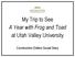 My Trip to See A Year with Frog and Toad at Utah Valley University. Construction Edition Social Story