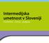 Intermedijska umetnost v Sloveniji Usmeritve razvoj - podpora