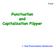 Punctuation and Capitalization Flipper 1. End Punctuation-Sentences
