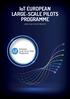 IoT European. Programme. Large-Scale Pilots Projects