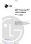 DLP Projection TV OWNER S MANUAL
