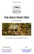 THE WILD PEAR TREE. Memento Films presents. A film by Nuri Bilge Ceylan. 188 / Turkey / France / Germany / Bulgaria / 4K Scope 5.1.