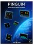 PG-AMM 2.2. Pinguin Audio-Multi-Meter. Professional multifunctional Audio metering software. Owners Manual