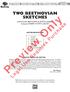 STRING ORCHESTRA INTERMEDIATE LEVEL. Two beethovian. Preview Only INSTRUMENTATION