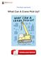 Download What Can A Crane Pick Up? Epub