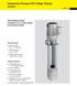 Immersion Pumps HCT (High Chem) sealless